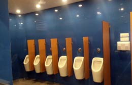 Urinal Partition System